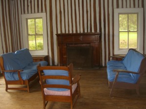 Living Room with vertical log walls